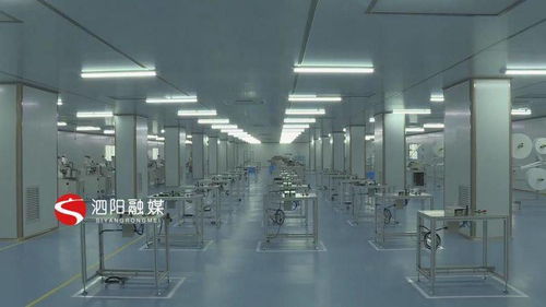 優服務強項目，科技賦能 泗陽意楊產業科技園的高質量發展之路